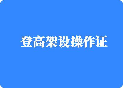 草逼逼视频登高架设操作证